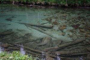 Untertalbach 7546 2011-07-05.jpg