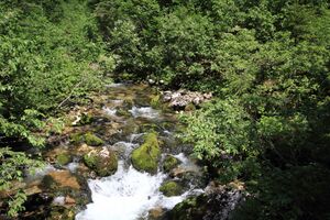 Zimitzbach 77699 2018-06-04.jpg