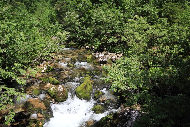 Datei:Zimitzbach 77699 2018-06-04.jpg