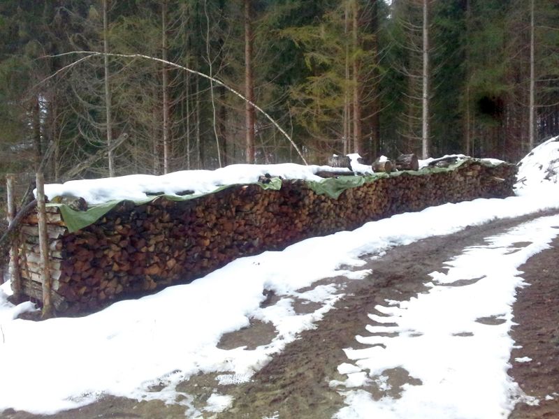 Datei:20121225 135457.jpg