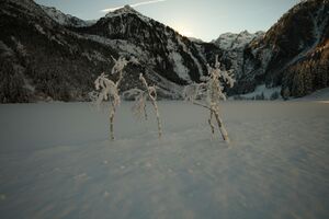 Bodensee 26479 2014-01-01.jpg