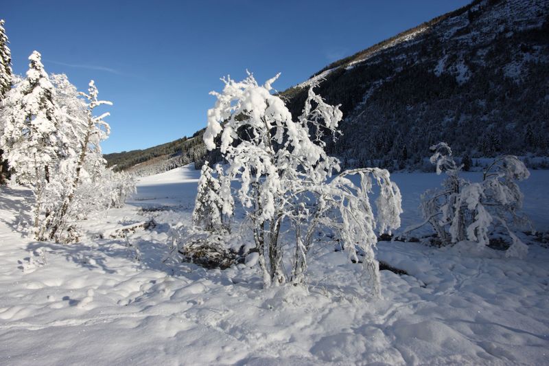 Datei:Bodensee 26528 2014-01-01.jpg