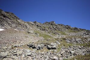 Farmrieseck 79092 2018-07-02.jpg