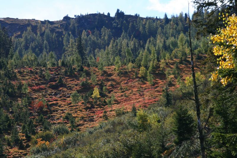 Datei:Guschen 19973 2007-09-28.jpg