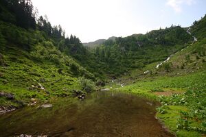 Im wildkar 23548 2008-06-26.jpg