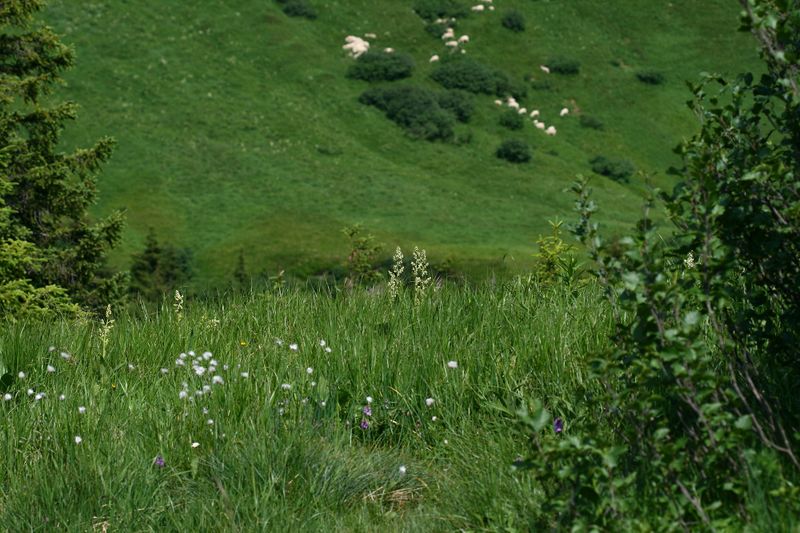 Datei:Mößnakar 0852 13-07-12.jpg