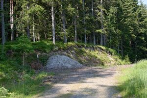 Mitterberg lassing-0586-2023-06-14.jpg