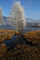 Putterersee - winter 17112 2013-12-23.jpg