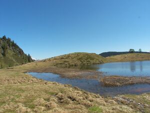 Schobersee 1392 2007-05-19.jpg