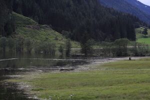 Tettermoor-hochwasser 0875 2012-07-21.jpg