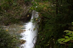 Teufelsschlucht Seewigtal 73302 2014-10-02.jpg