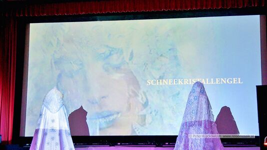 Traumwelt des Lichts - der Geist der Weihnacht 2025 14.jpg