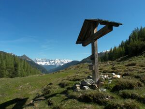 Ursprungalm 0684 2006-06-12.jpg