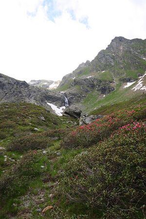 Wildkar 1967 2008-06-26.jpg