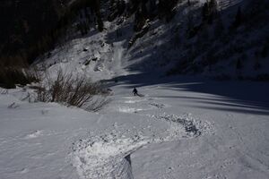 Wildkar 44979 2014-03-09.jpg