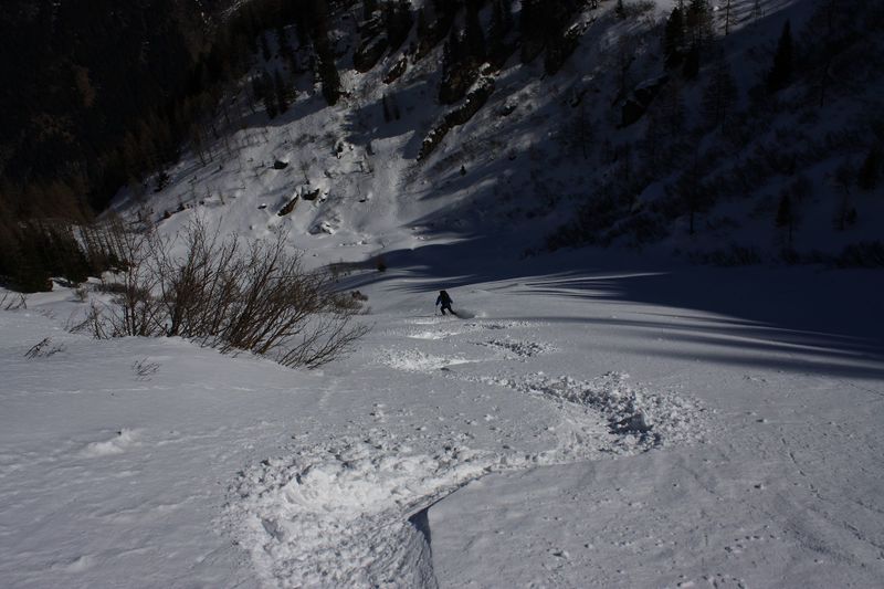 Datei:Wildkar 44979 2014-03-09.jpg