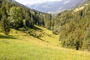 BH plank-2006-2021-07-24.jpg