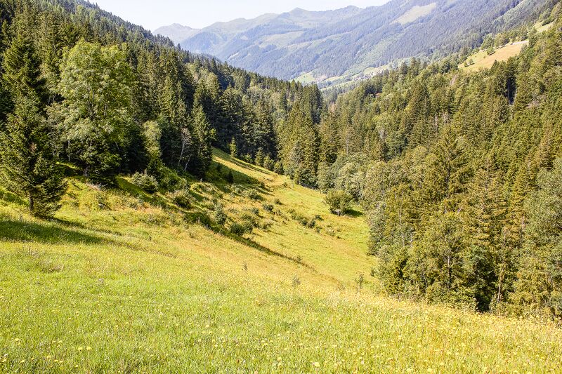 Datei:BH plank-2006-2021-07-24.jpg