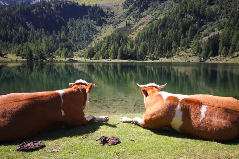 Datei:Duisitzkarsee 15112 2011-08-28.jpg