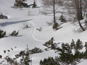 Eiskar elendberg 2168 2007-03-12.jpg