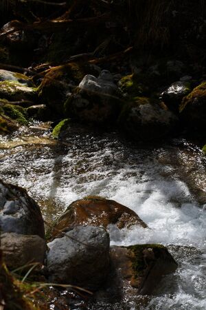 Feisterbach 1147 2008-04-17.jpg