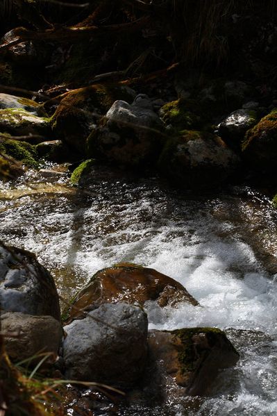 Datei:Feisterbach 1147 2008-04-17.jpg