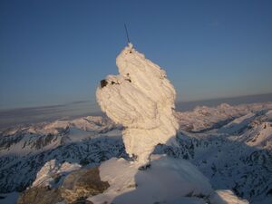 Kalkspitze 47593 2006-06-09.jpg