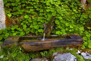 Kropfbrünnl gseis-2002-2021-05-26.jpg