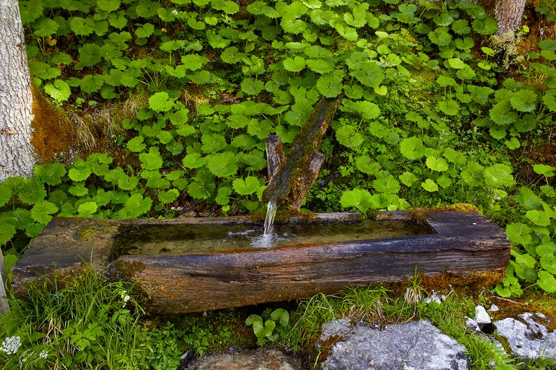 Datei:Kropfbrünnl gseis-2002-2021-05-26.jpg