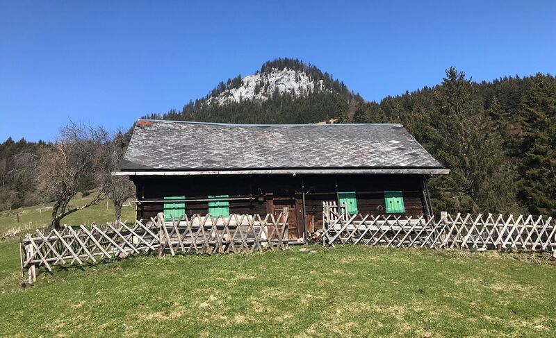 Datei:Leistenalm Willsbergerhütte Leistenstein.jpg