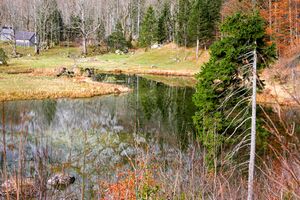 Ostersee Altaussee 79098 2014-11-15.jpg