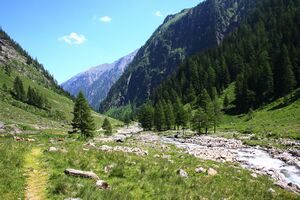 Putzentalalm kleinsölk 4781 13-06-20.jpg