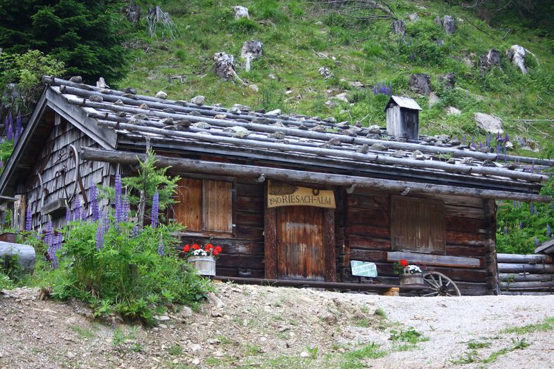 Datei:Riesachalm 1207 13-07-02.jpg