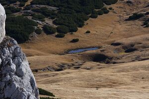 Roßfeld gr.graf.miesberg 14200 2015-11-11.jpg