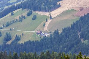 Roath Donnersbach 72890 2014-06-18.jpg