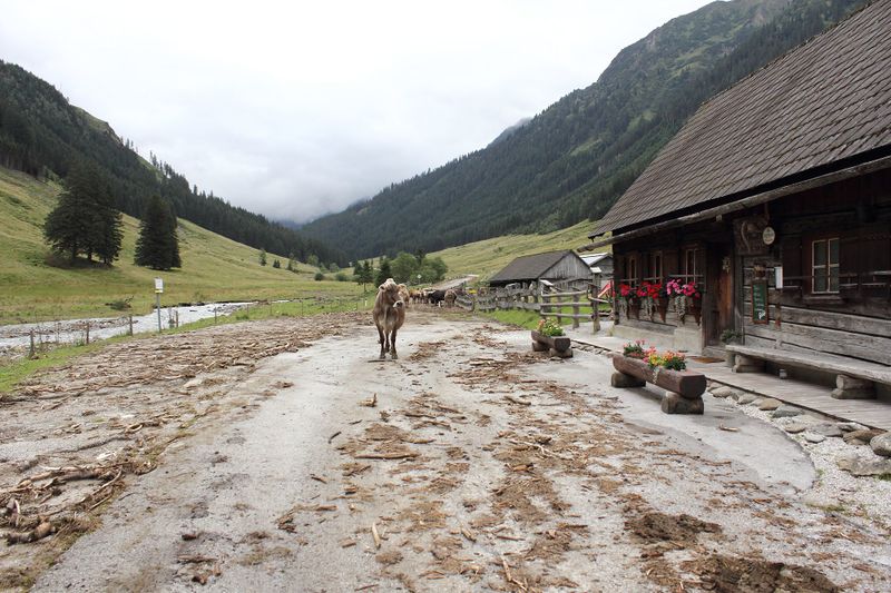Datei:Sölkpassstraße bei hansenalm 55367 2017-08-13.jpg