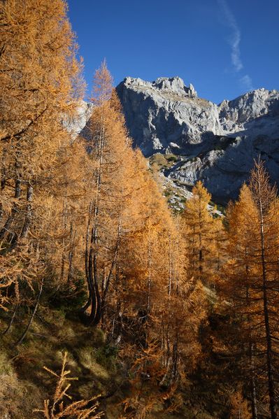 Datei:Schönbichl südwandhütte 11978 2015-11-04.jpg