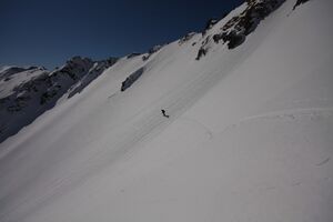 Schnabelkar 5482 2012-03-20.jpg