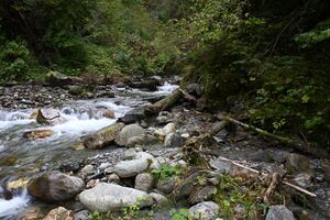 Teufelsschlucht Seewigtal 73363 2014-10-02.jpg