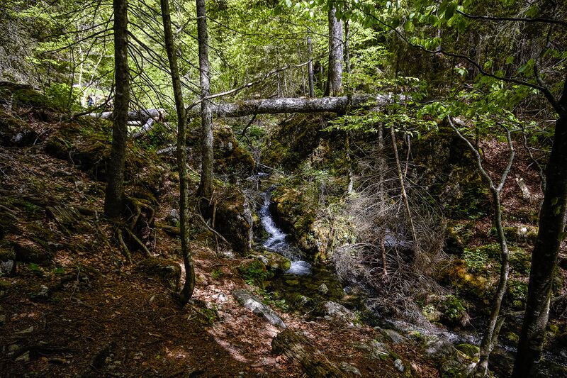 Datei:Wolfbauer wasserfallbach-405-2020-05-18.jpg