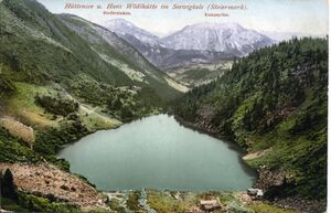 Ansichtskarte-haus i ennstal-606.jpg