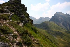 Glatt 1159 13-08-06.jpg