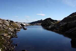 Goldlacken 0310 2013-10-08.jpg