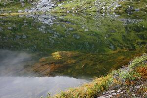 Griegelsee großsölk 71603 2014-09-16.jpg