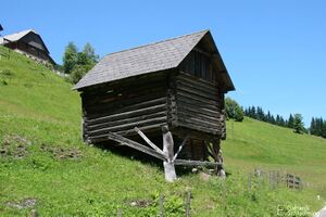 Höflechner kleinsölk 0291.jpg