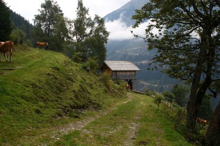 Hinterer krahberger 02302 2015-09-10.jpg