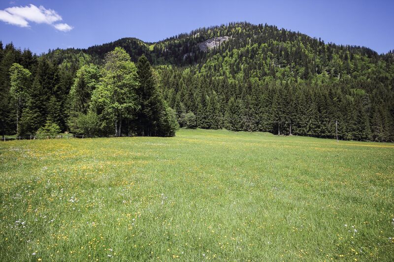 Datei:Kochalm badM 48567 2017-05-27.jpg