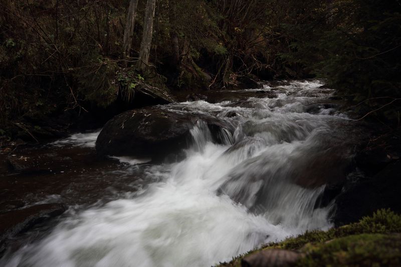 Datei:Lärchkarbach donnersb 62317 2017-10-26.jpg
