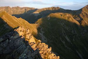 Nageleck-deneck 27015 2010-08-11.jpg