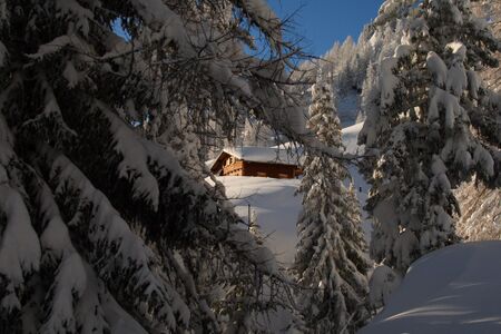 Obere Moseralm 50114 2007-11-28.jpg